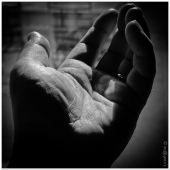 Concours d'Octobre 2012 - [Les lignes] - Auteur : Quinqua13