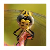 175