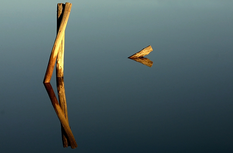 Etang de Vaccares - Auteur : Alain G.