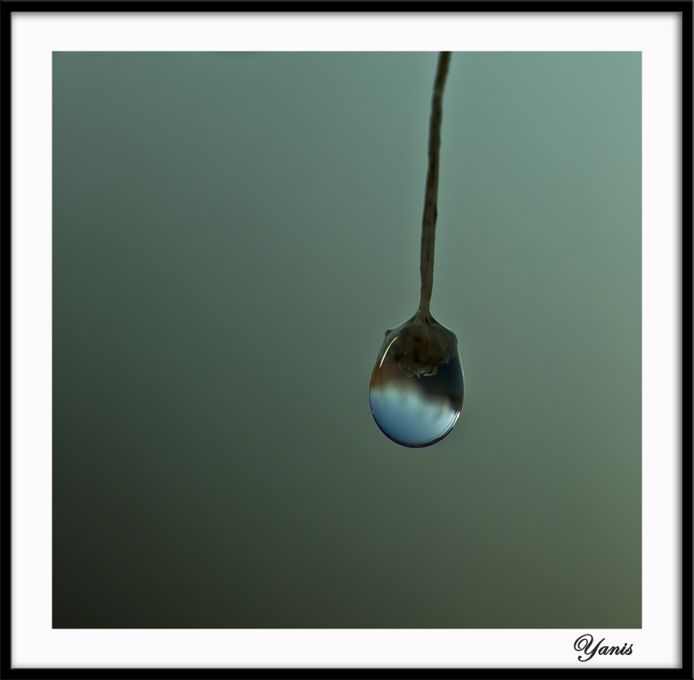La goutte - Auteur: Yanis