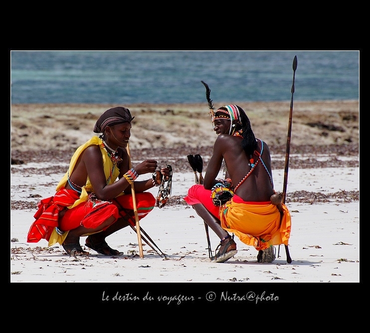 Kenya - Auteur : Nurafruit