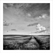 Campagne - Auteur : Vincent