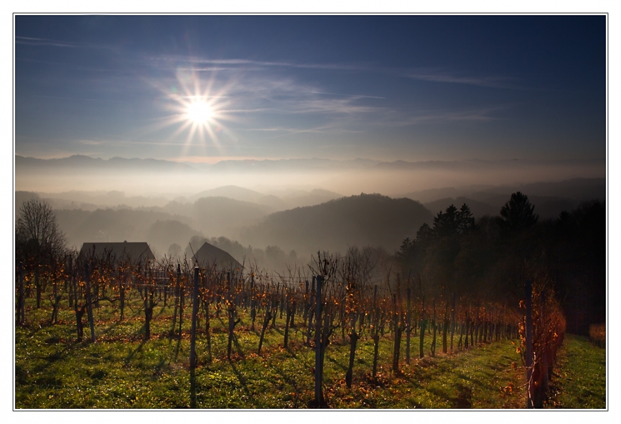 Concours de Novembre 2011 - [Jardin et Couleurs D'Automne] - Auteur : Buck