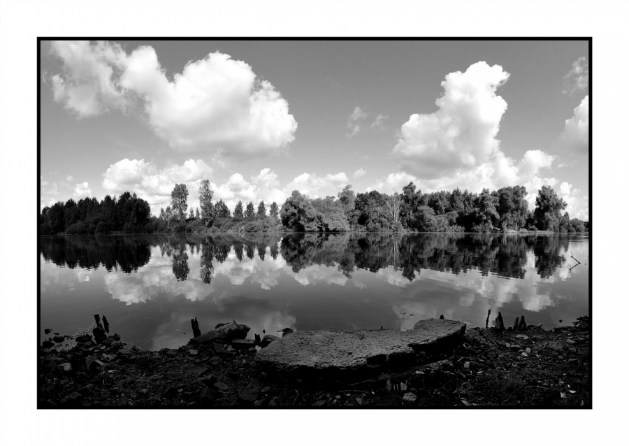 Concours de Septembre 2012- [La nature en NB] - Auteur : Tony62