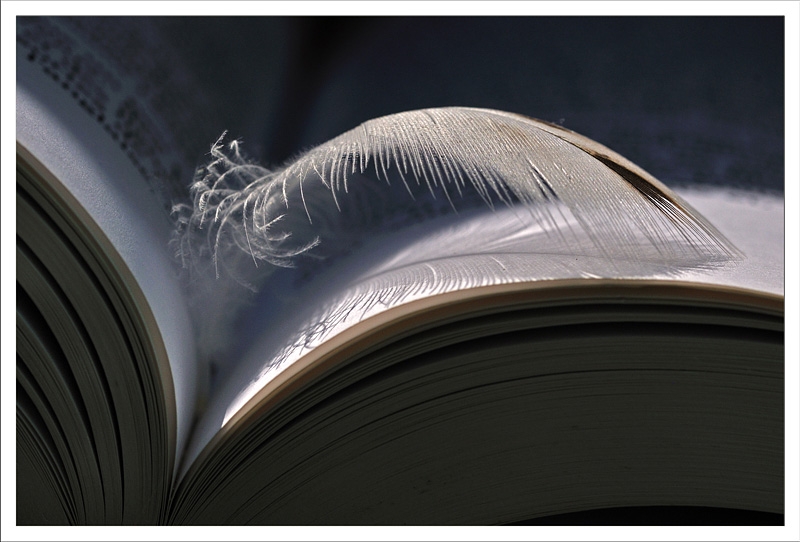 Concours à thème libre de Septembre 09 - Auteur : Vincent