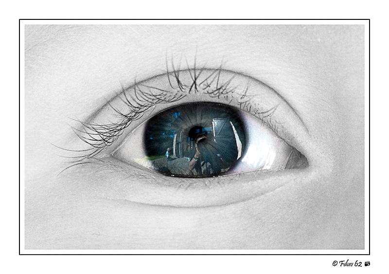 Concours à thème libre Mai 2010 - Auteur : fduv