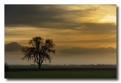 Concours de Novembre 2011 - thème libre - Auteur : Nikonbox