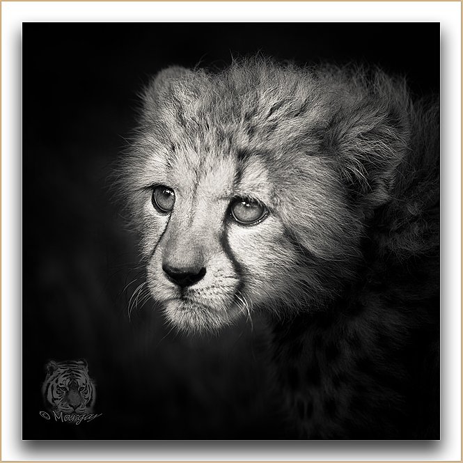 Concours de l'été 2012- thème libre - Auteur : Margay