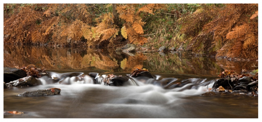 Concours de Novembre Thème Libre - Auteur: f Photo 1